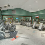 The Oasis - Heartland - the gym