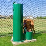 Timberbrook community dog park
