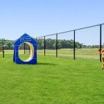 Timberbrook community dog park