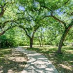 Timberbrook community park