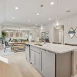 Arcadia Trails interior kitchen part 2